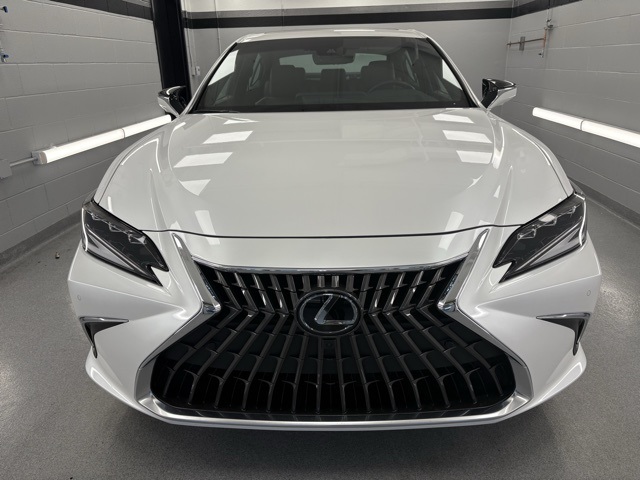 2025 Lexus ES 300h Luxury photo 2