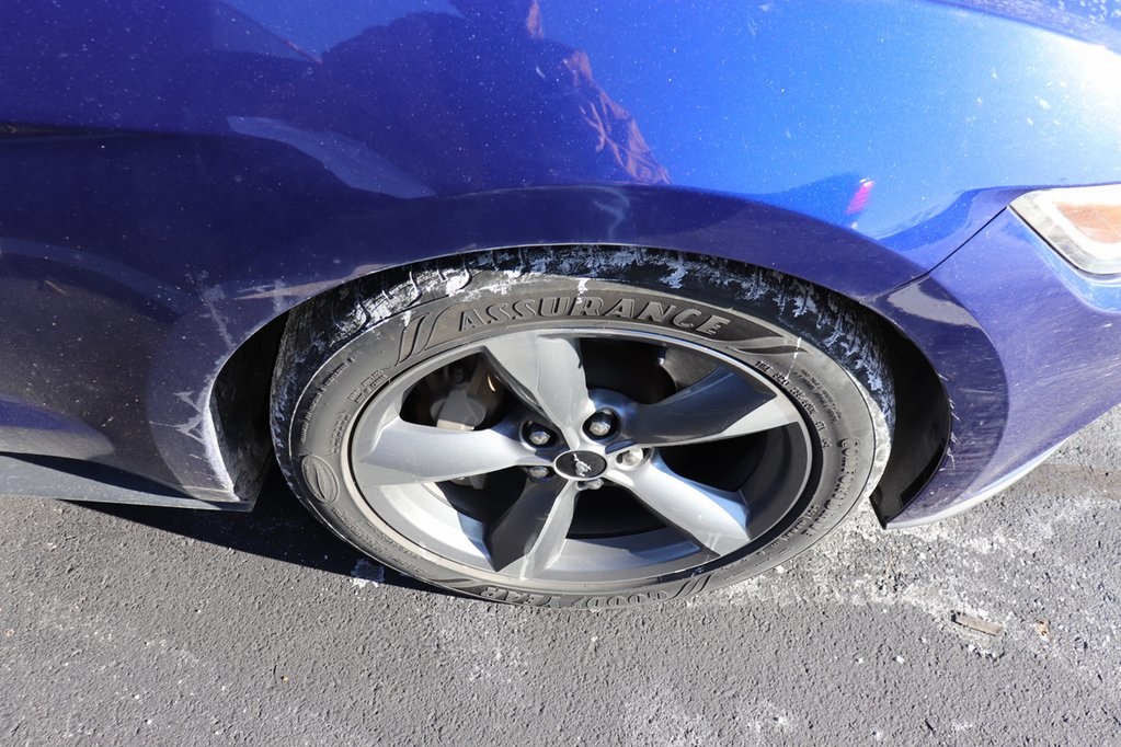 2016 Ford Mustang GT Premium photo 4