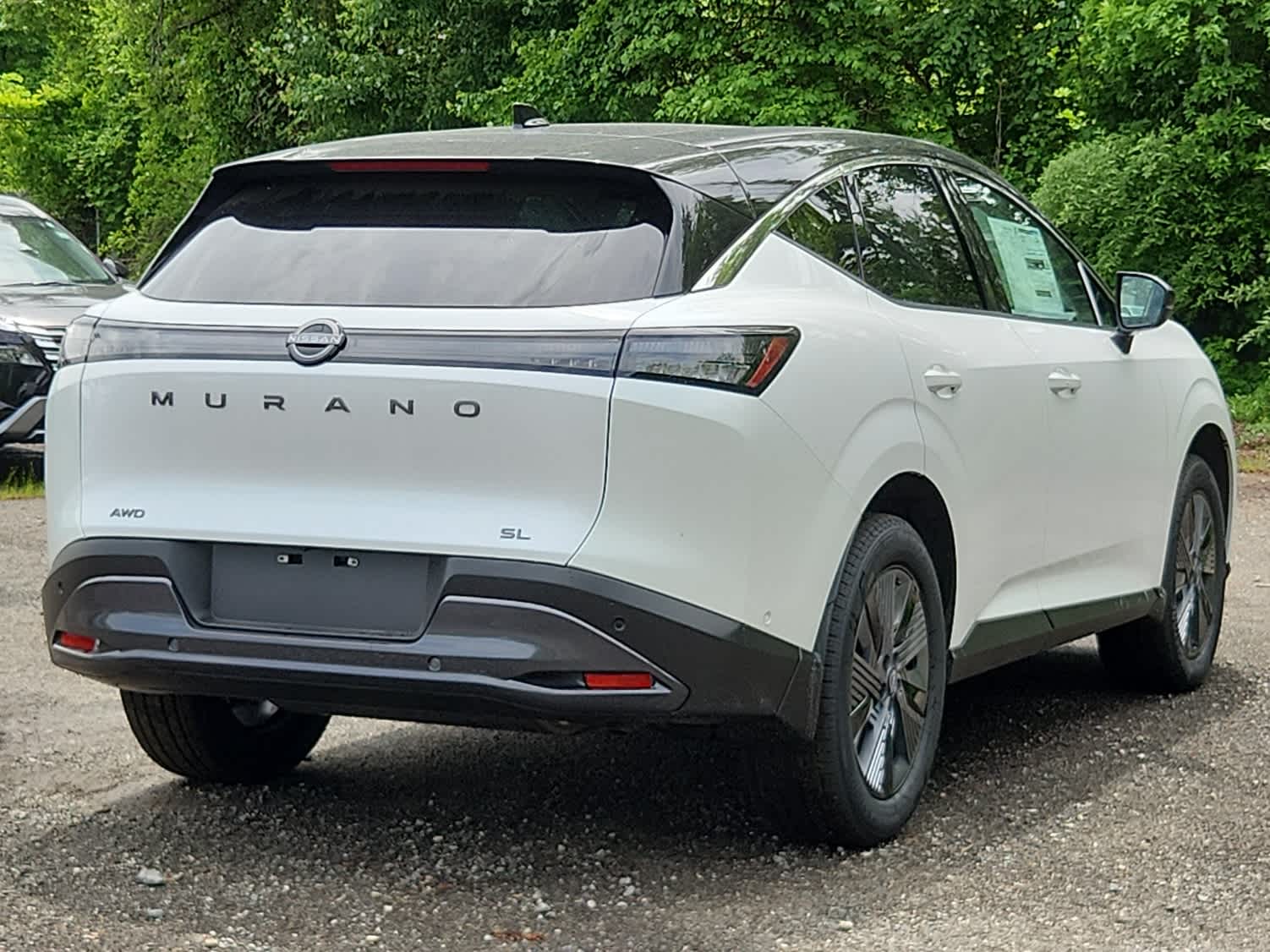 2025 Nissan Murano SL photo 3