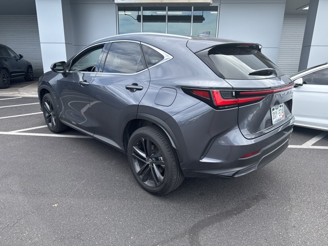2024 Lexus NX 450h+ Luxury photo 2