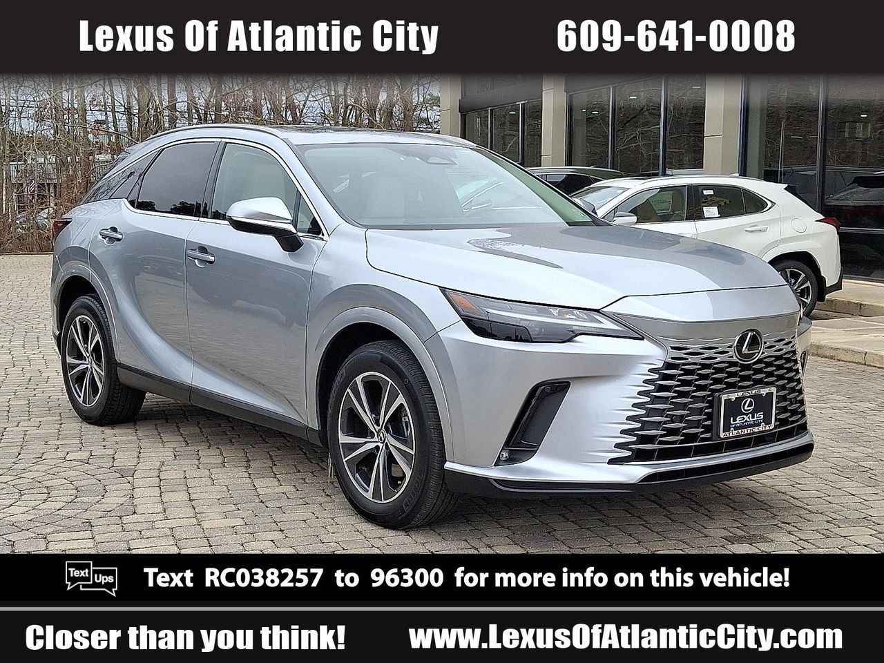 2024 Lexus RX Hybrid 350h's photo