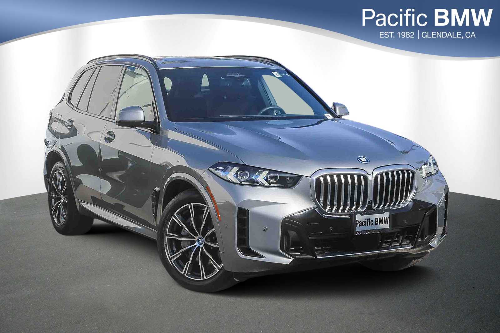 2025 BMW X5 50e's photo