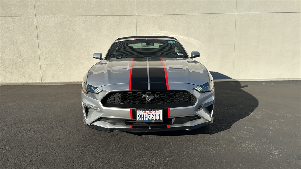 2019 Ford Mustang EcoBoost Premium photo 2