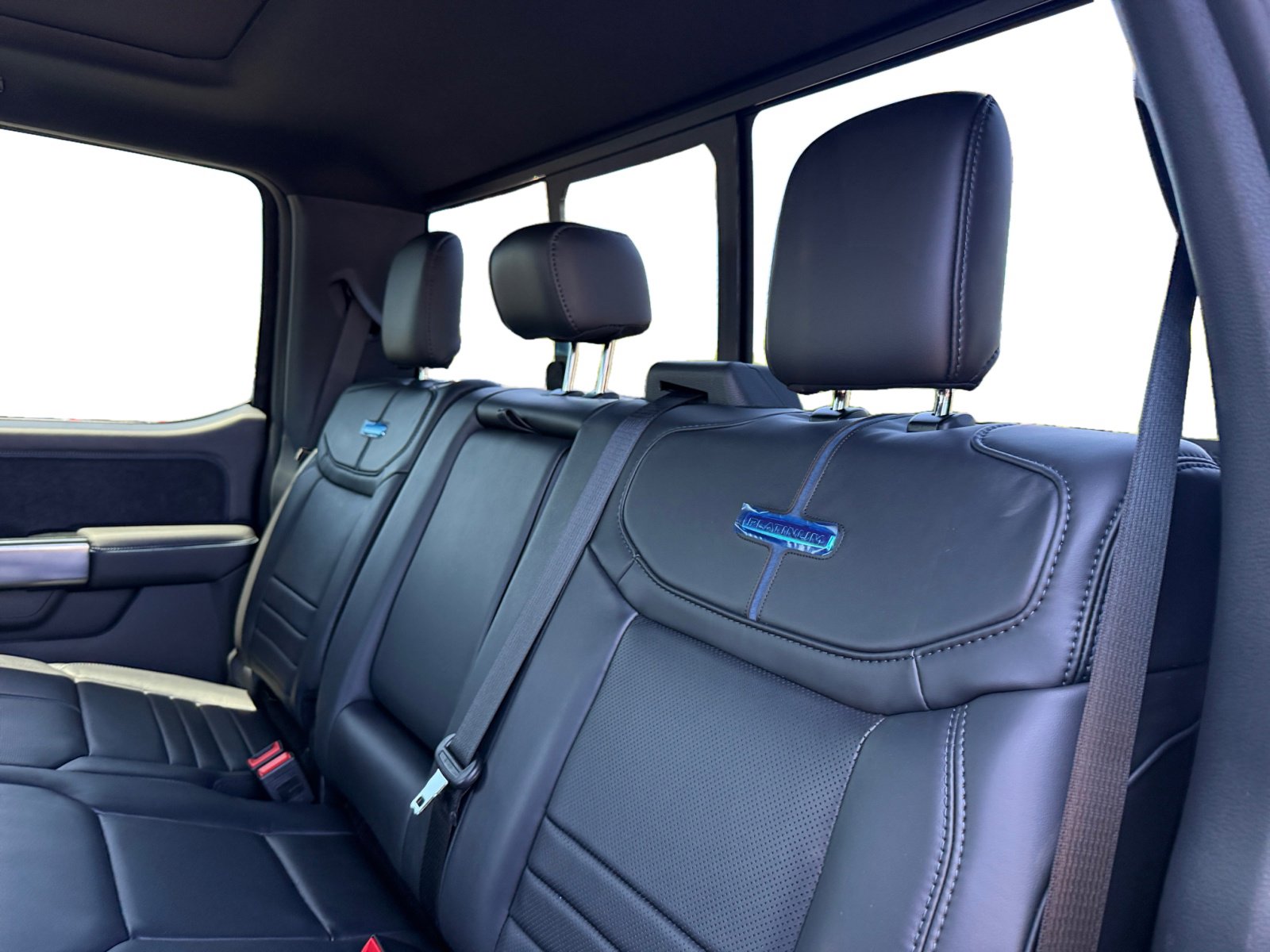 2025 Ford F-250 Platinum photo 16