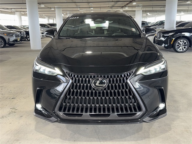 2023 Lexus NX 350h Luxury photo 2