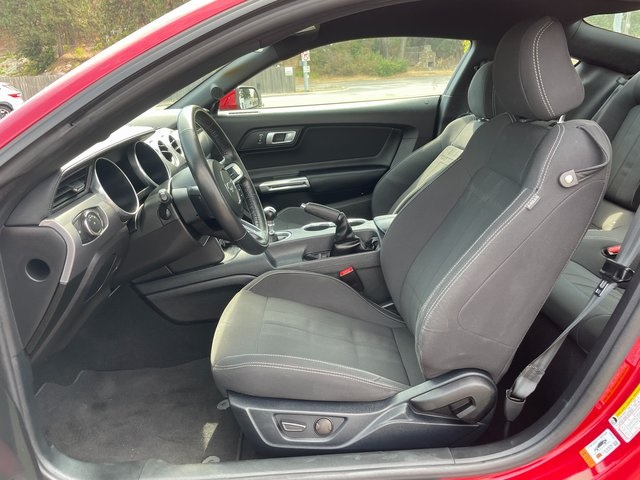 2021 Ford Mustang GT photo 2