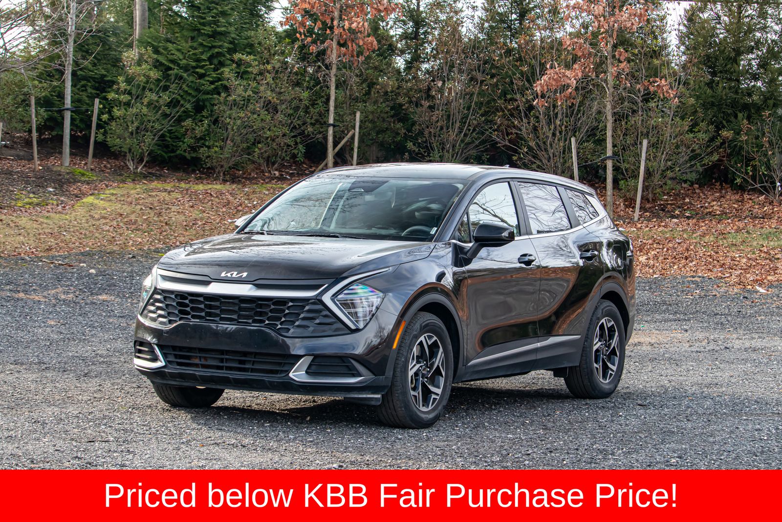 2024 Kia Sportage LX's photo