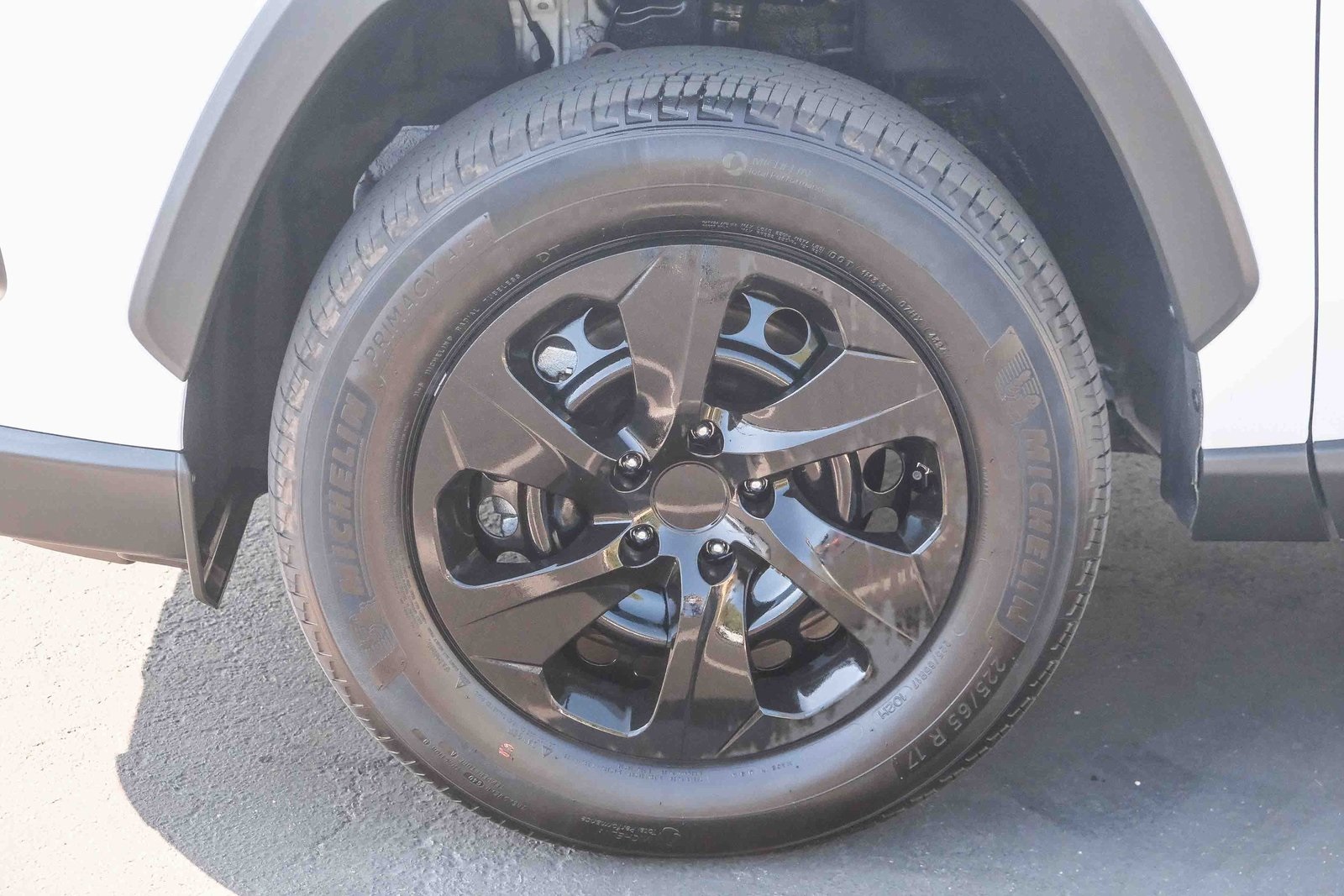 2025 Toyota RAV4 LE photo 6
