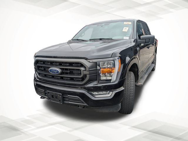 2023 Ford F-150 XLT photo 2