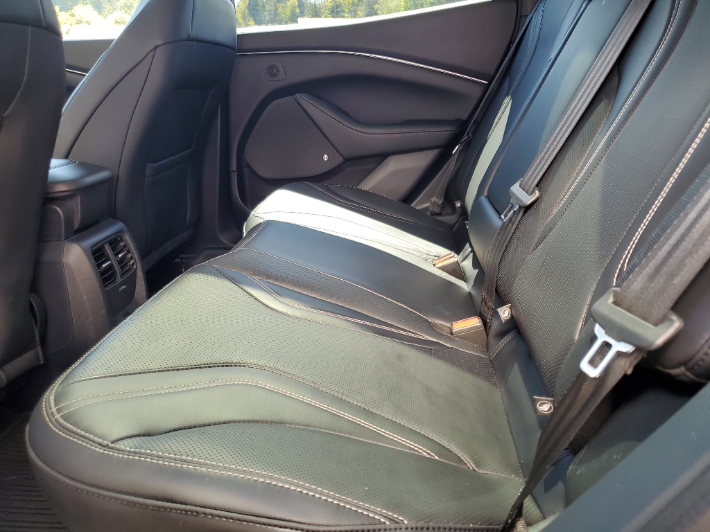 2021 Ford Mustang Mach-E Premium photo 11