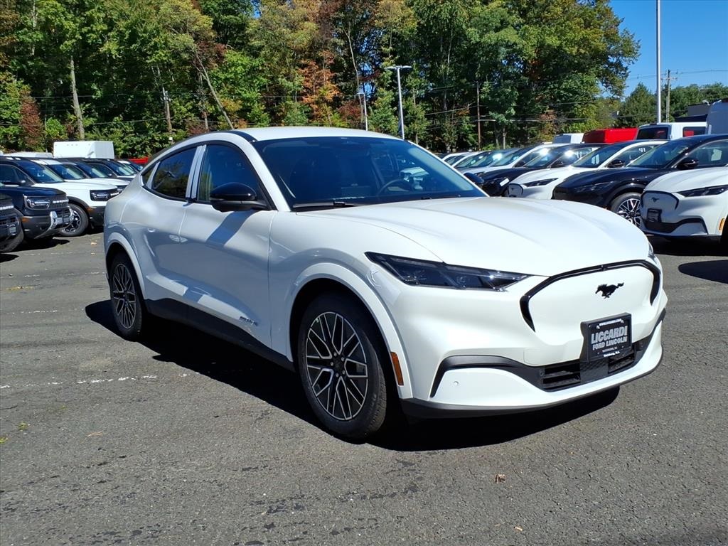 2025 Ford Mustang Mach-E Premium AWD's photo