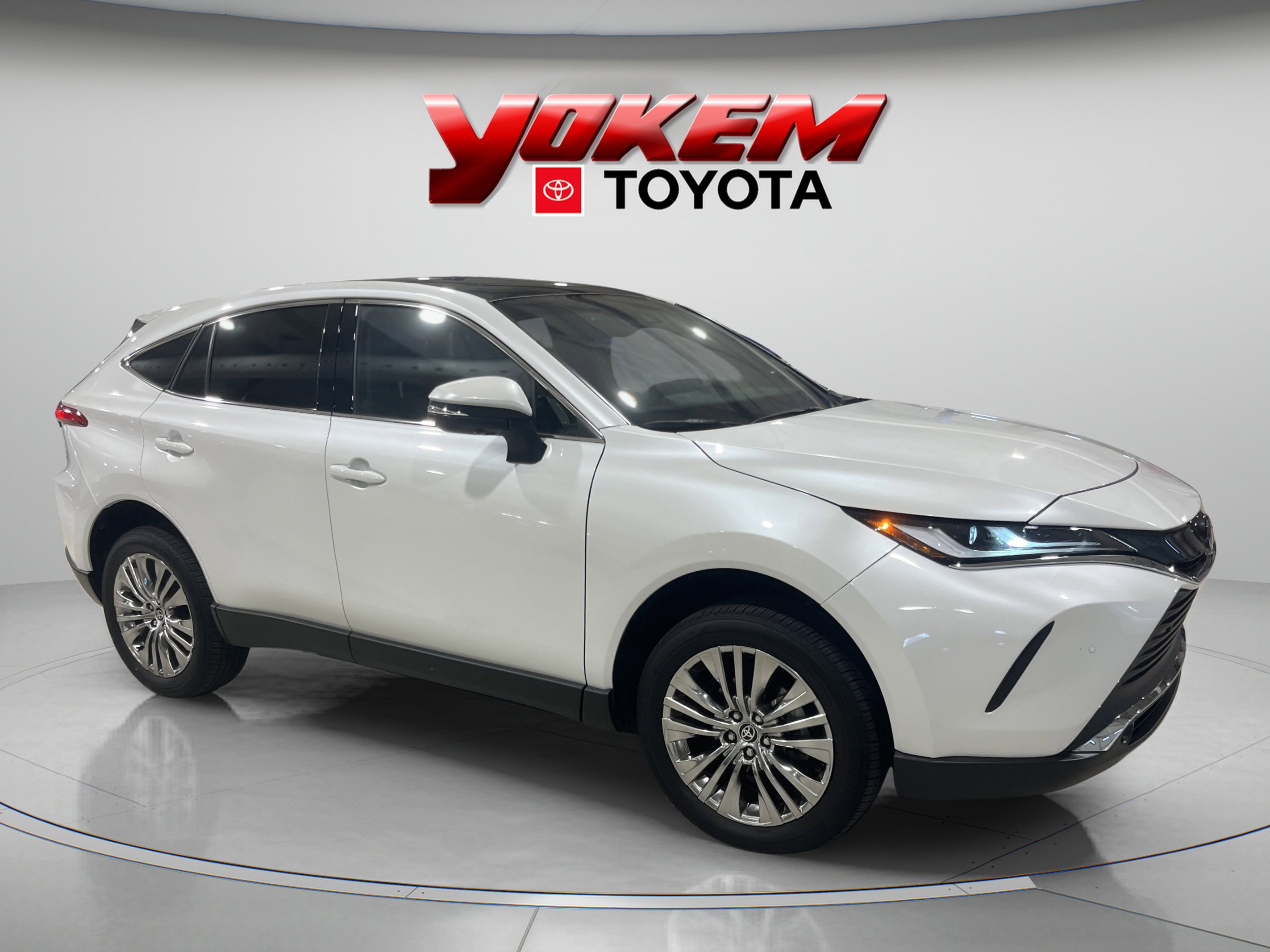 2024 Toyota Venza Limited photo 5
