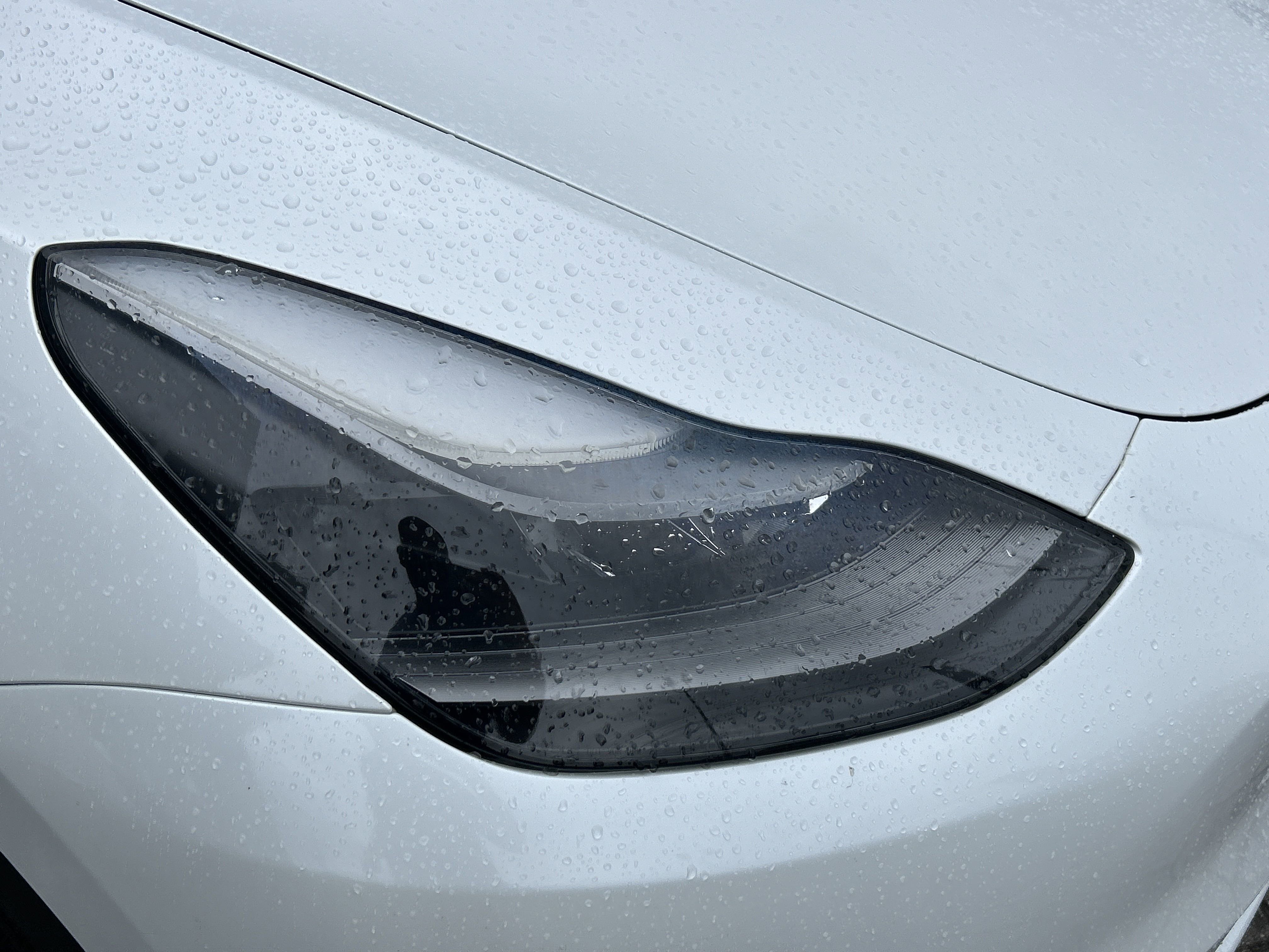 2023 Tesla Model Y Performance photo 2