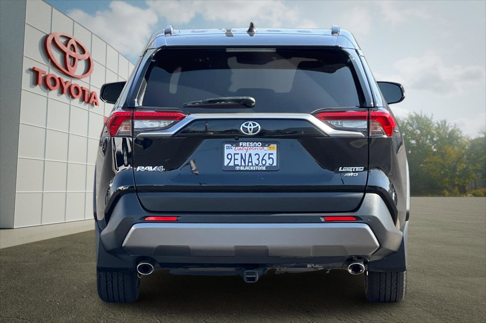 2019 Toyota RAV4 Limited photo 3