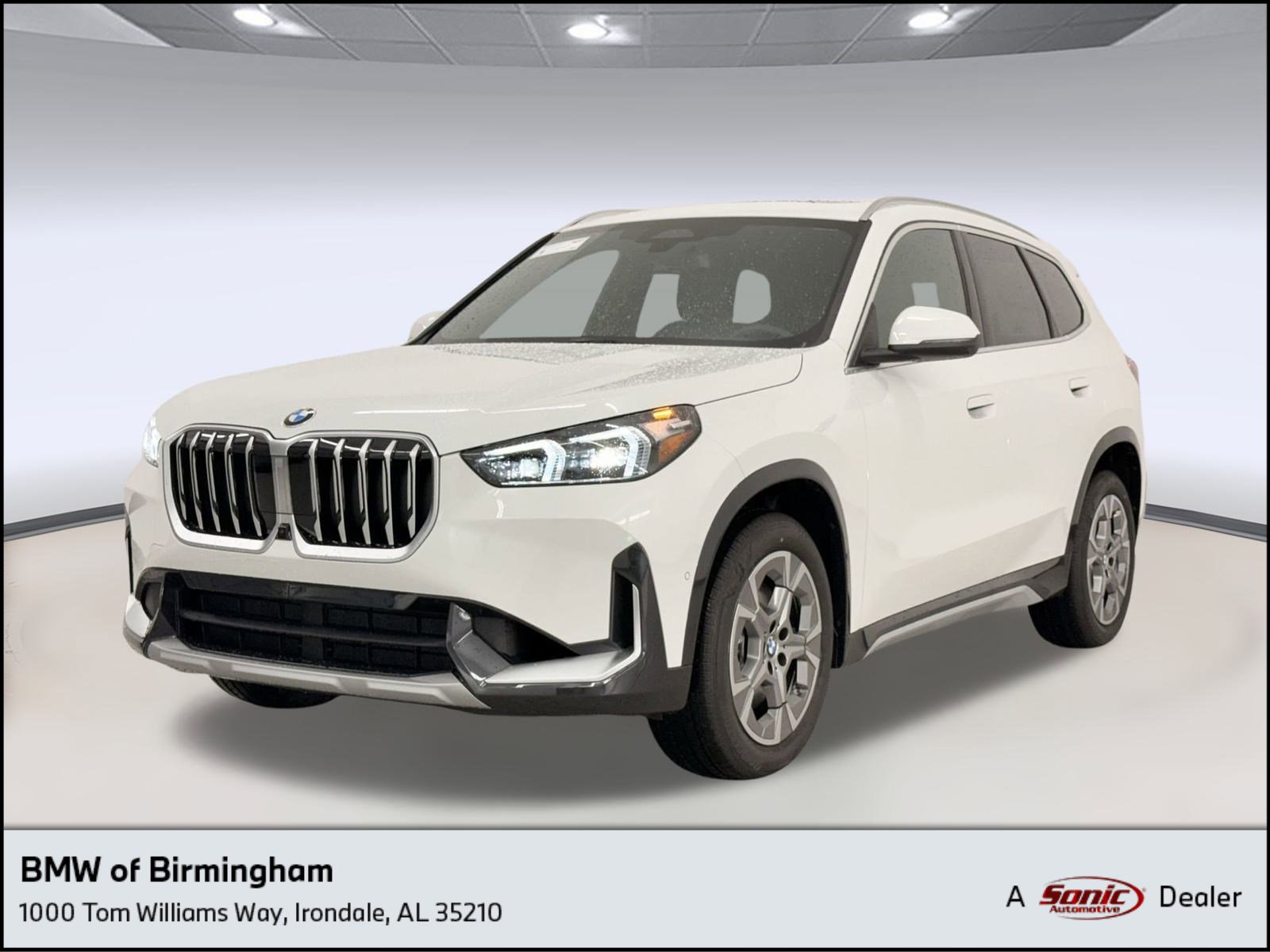 2025 BMW X1 28i's photo