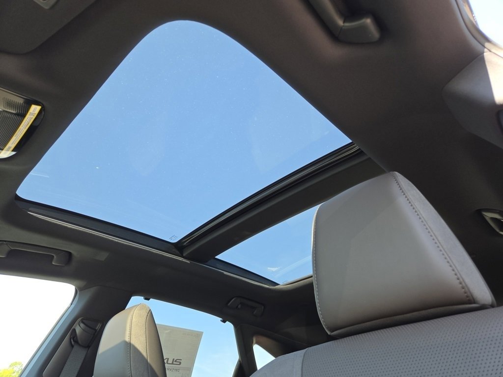 2025 Lexus RX 350 Luxury photo 3