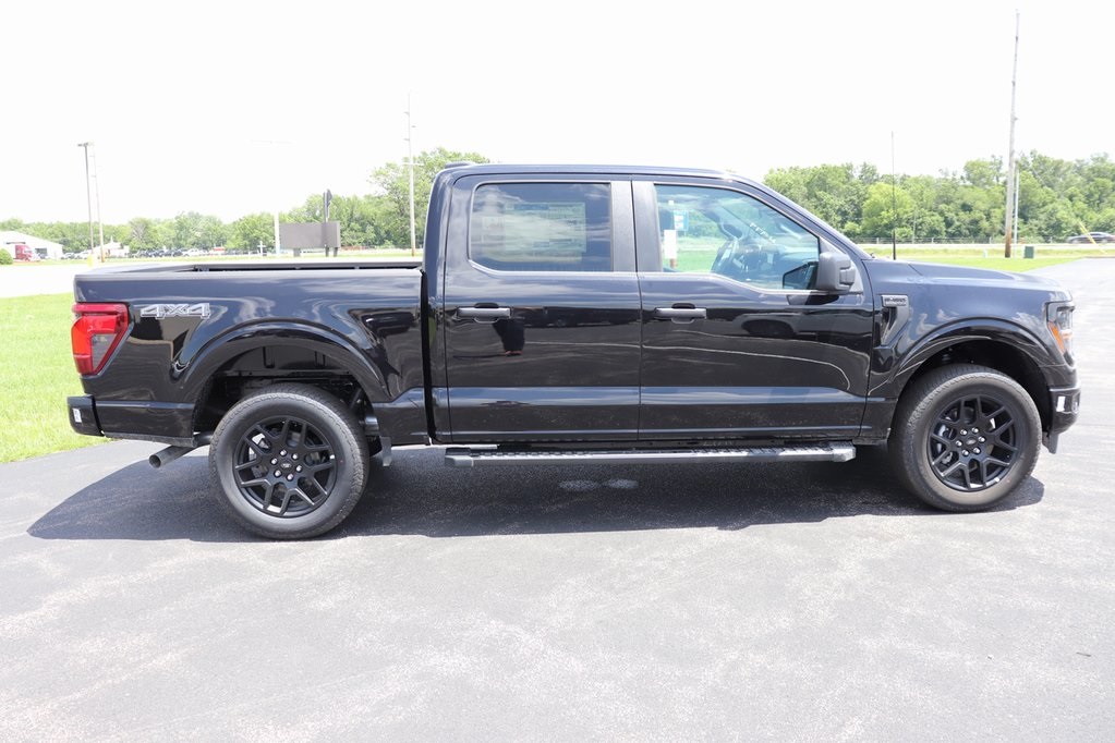 2025 Ford F-150 STX photo 6