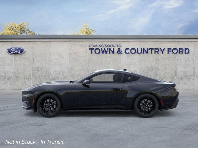 2025 Ford Mustang EcoBoost photo 13