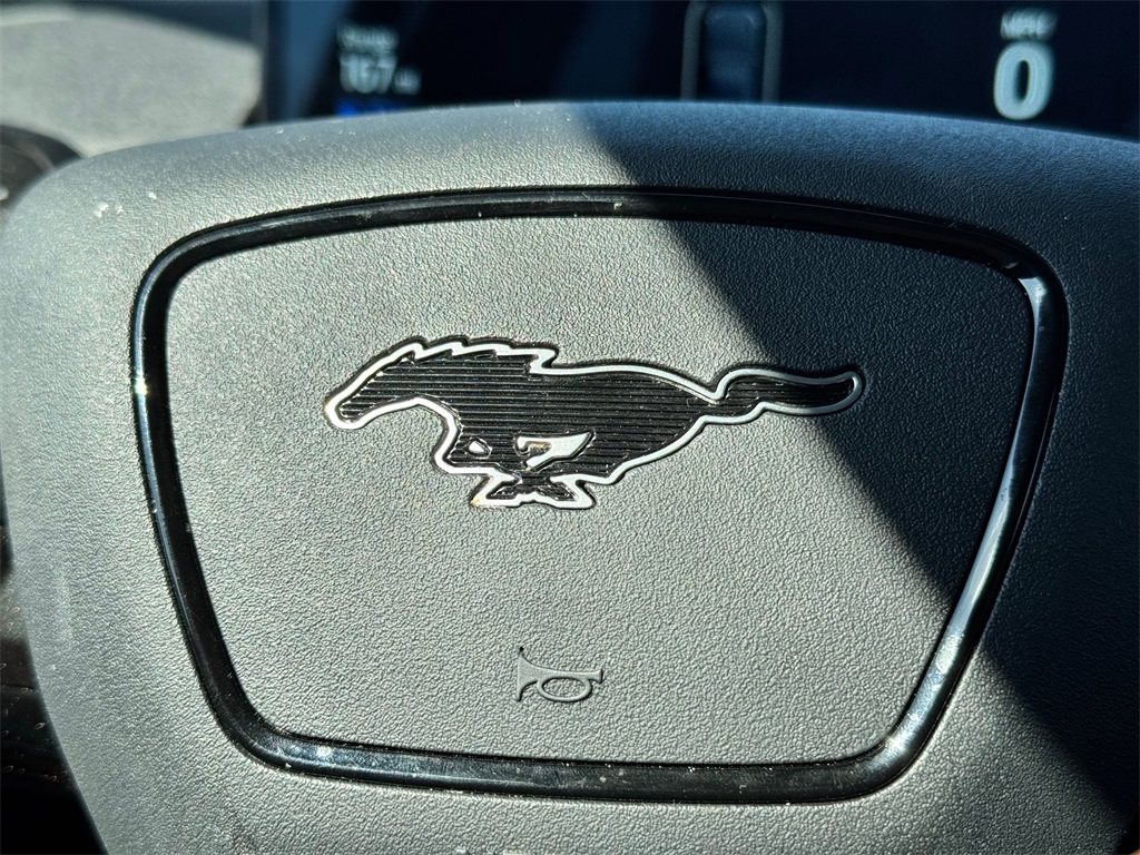 2021 Ford Mustang Mach-E Premium photo 3