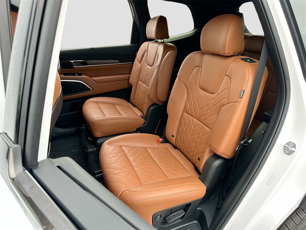 2025 Kia Telluride SX Prestige X-Line photo 21