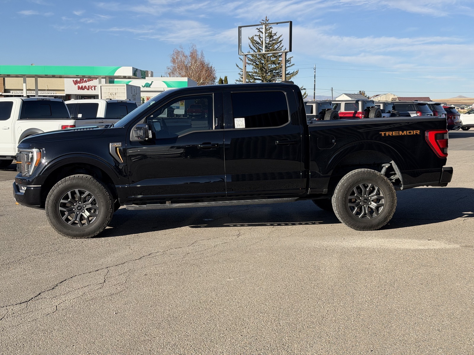 2023 Ford F-150 Tremor photo 3