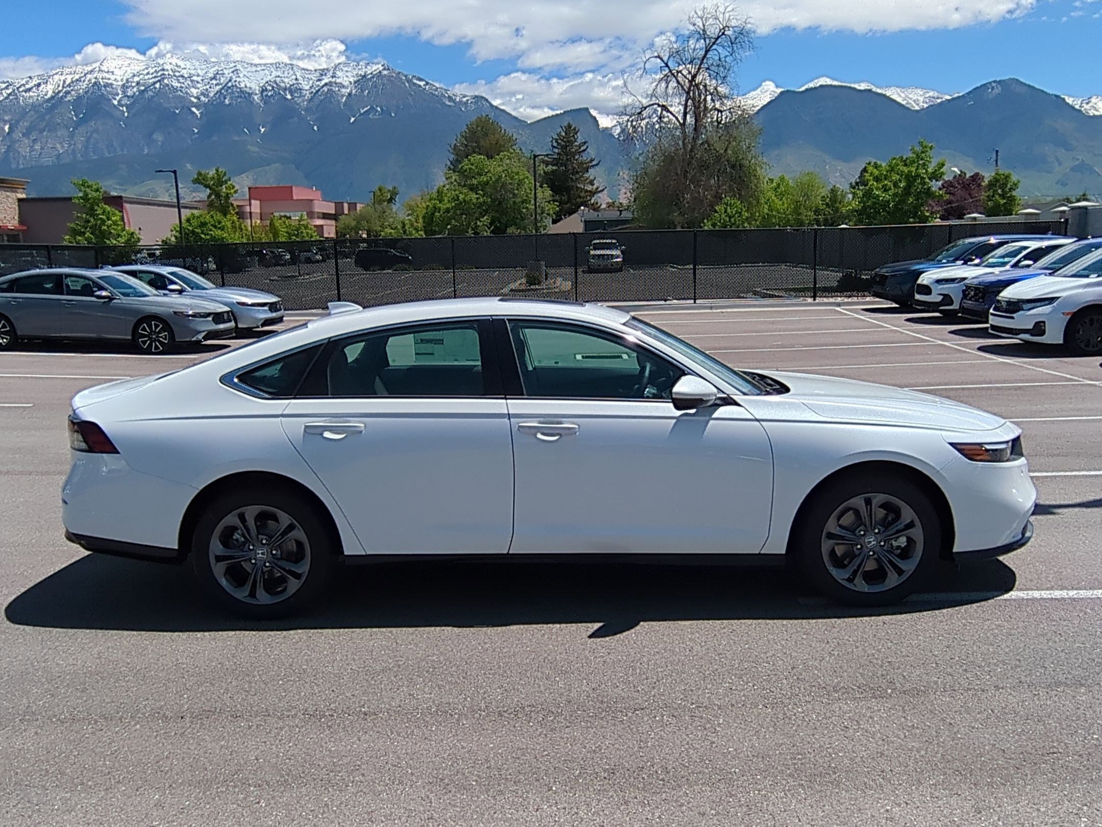 2025 Honda Accord Hybrid EX-L photo 2