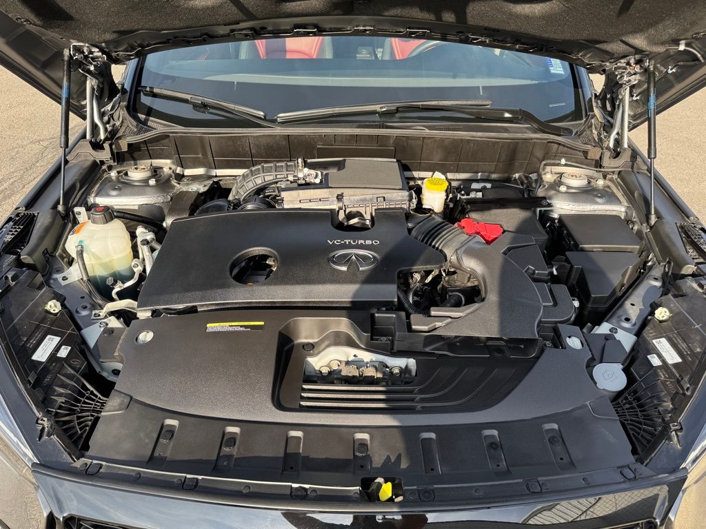 2024 Infiniti QX50 SPORT photo 7