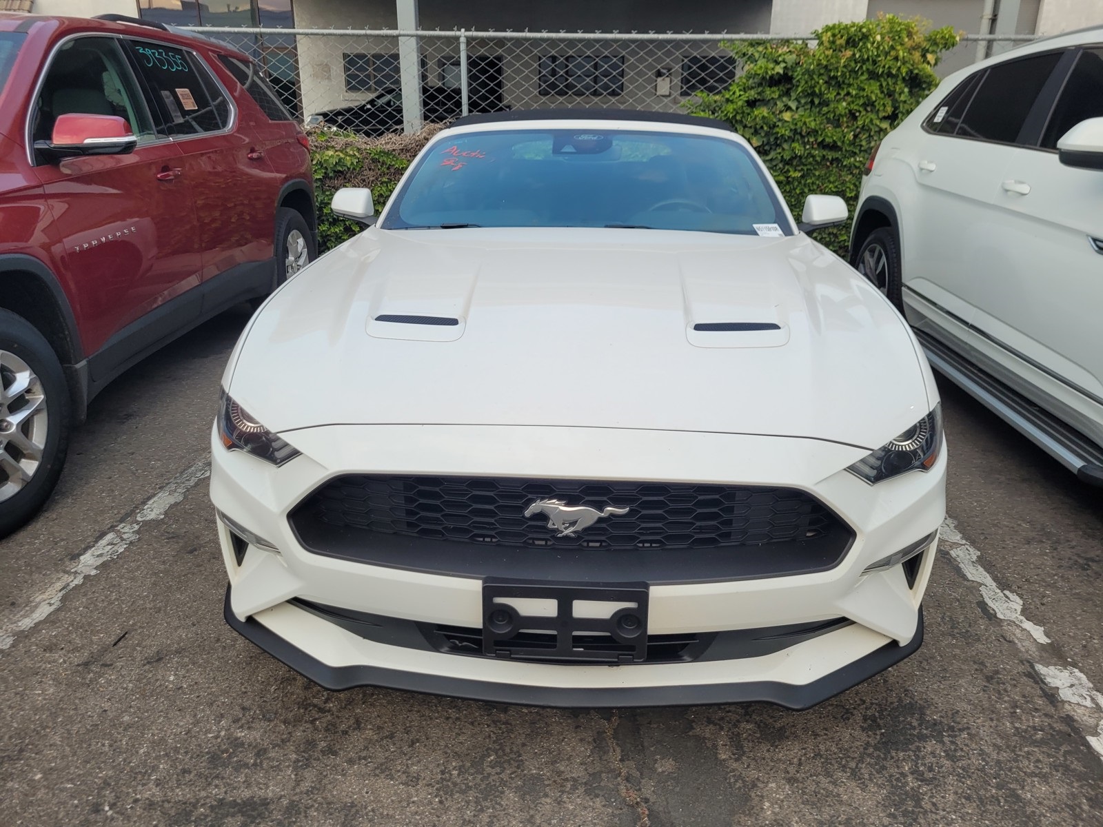 2022 Ford Mustang EcoBoost Premium photo 2
