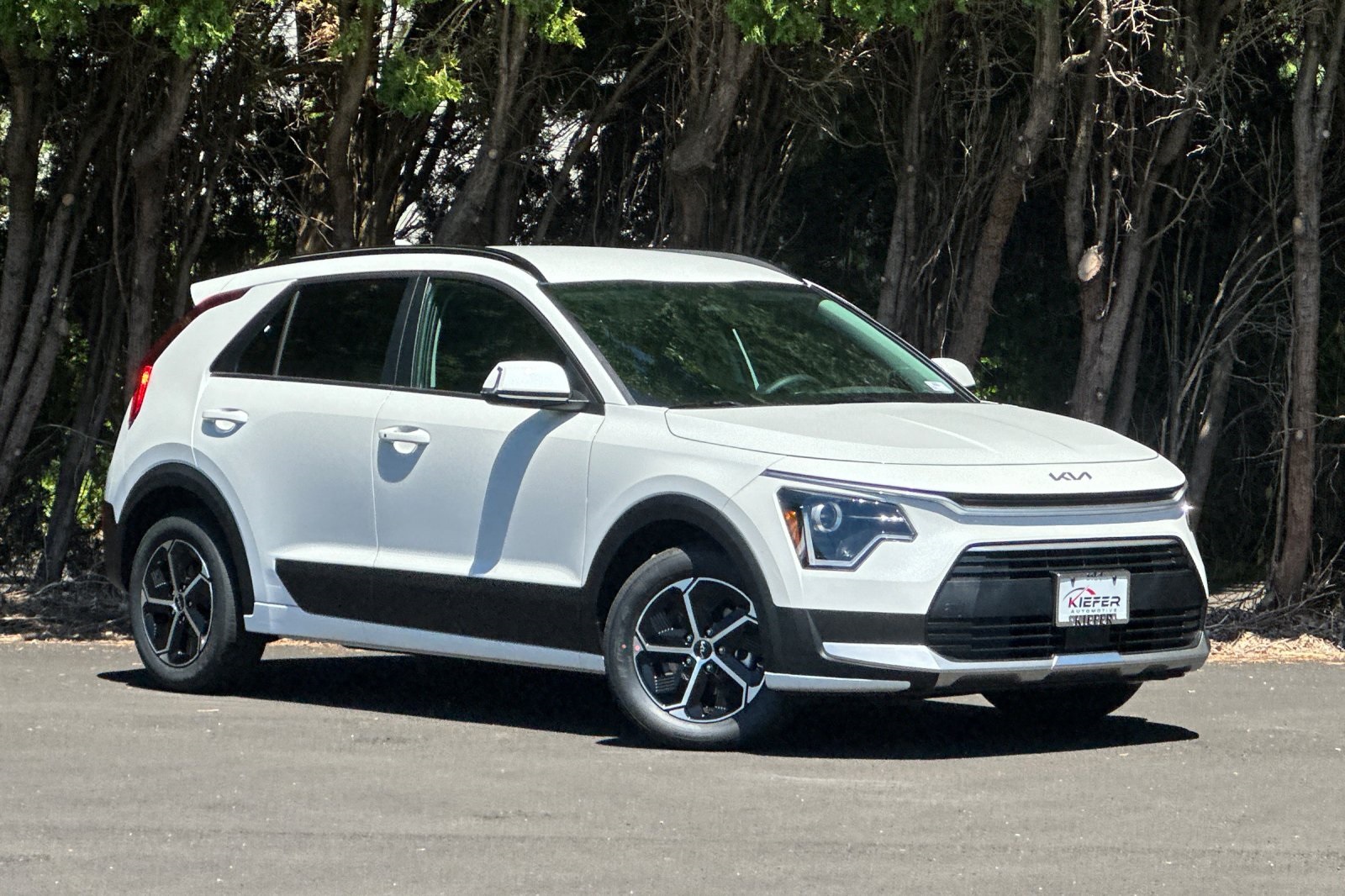 2025 Kia Niro EX photo 2