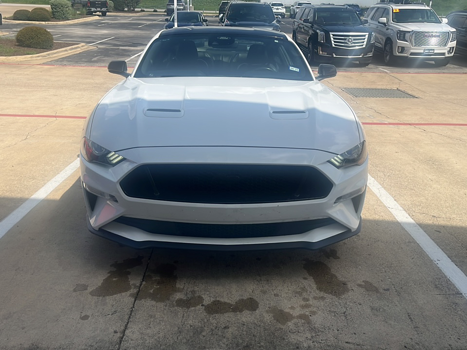 2023 Ford Mustang GT Premium photo 2