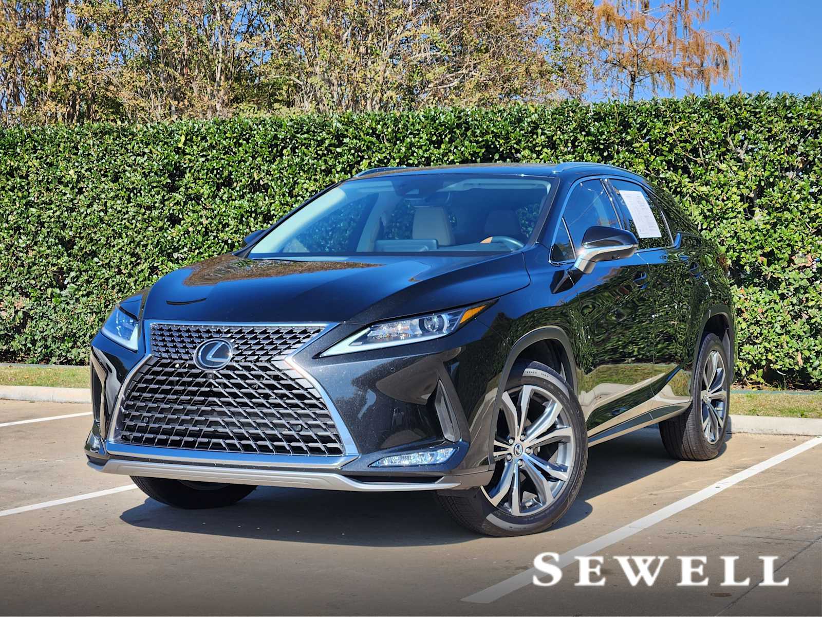 2022 Lexus RX 350's photo