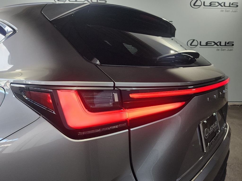 2025 Lexus NX 350 photo 8