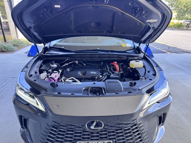 2025 Lexus RX 450h+ Luxury photo 10