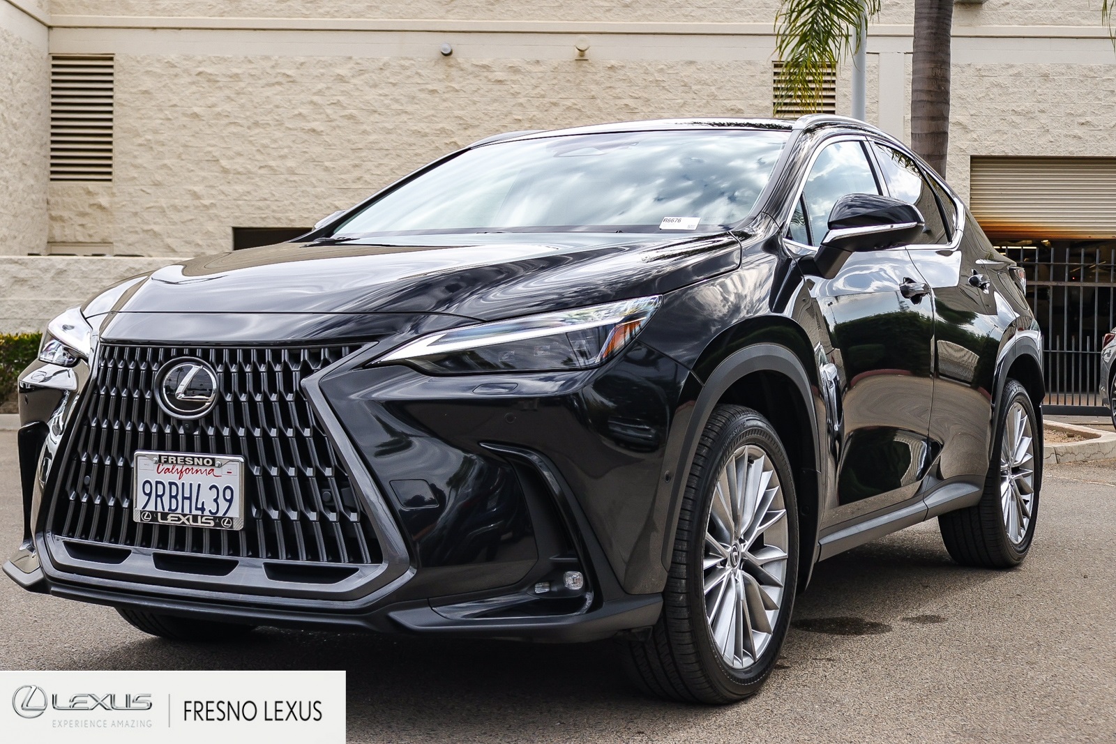2025 Lexus NX 350h Luxury photo 3