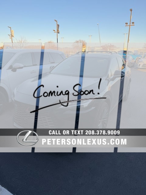 2024 Lexus RX 350's photo