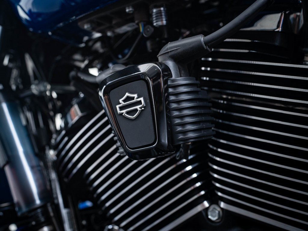 2024 Harley Davidson Road Glide photo 20
