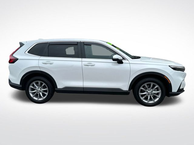 2024 Honda CR-V EX-L photo 4