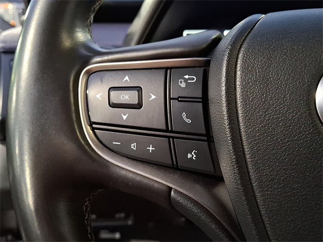 2021 Lexus UX 250h photo 24
