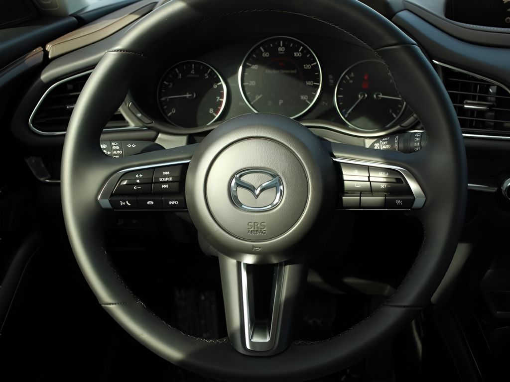 2025 Mazda CX-30 2.5 S Premium photo 18