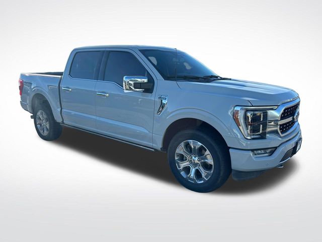 2023 Ford F-150 Platinum photo 5