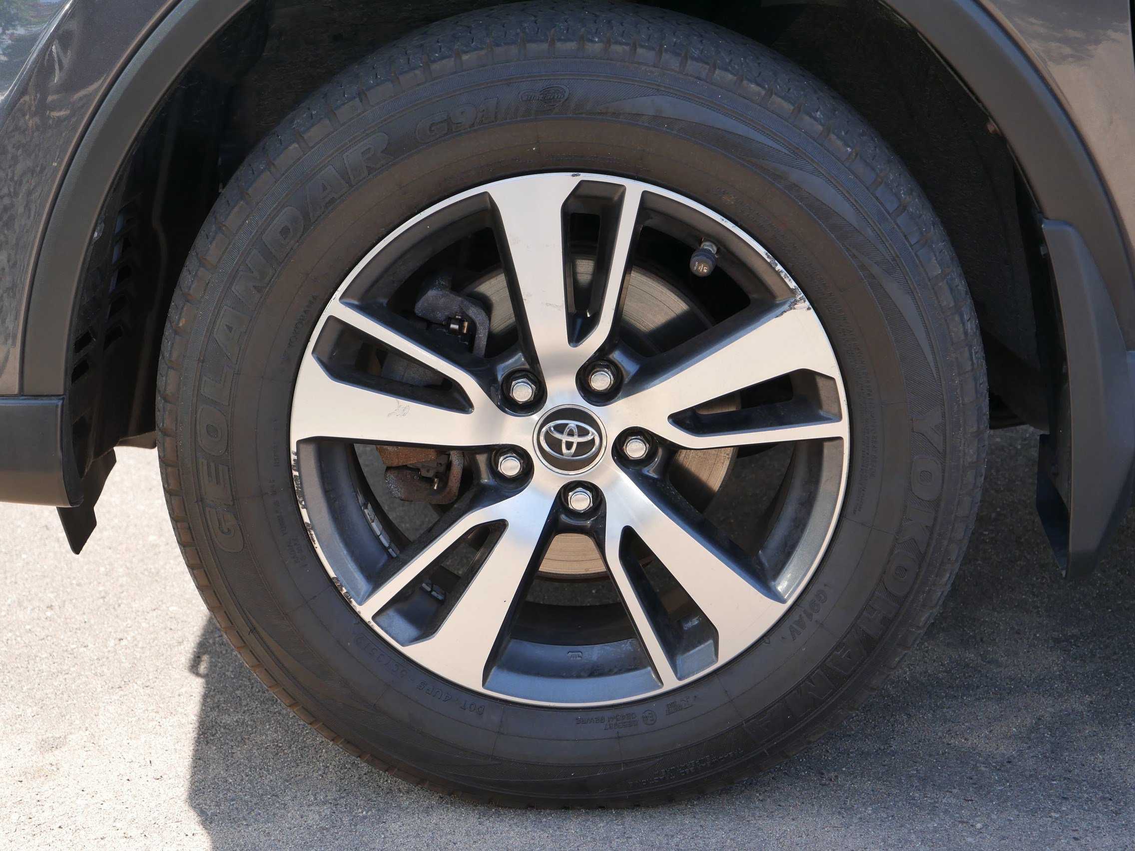 2018 Toyota RAV4 XLE photo 4