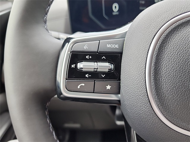 2026 Kia Carnival SX Prestige photo 20