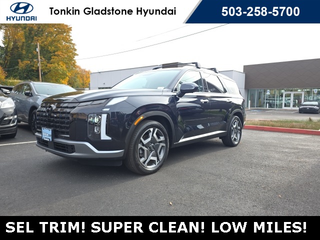 2023 Hyundai Palisade SEL photo 2