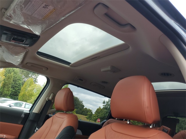 2026 Kia Carnival SX photo 15
