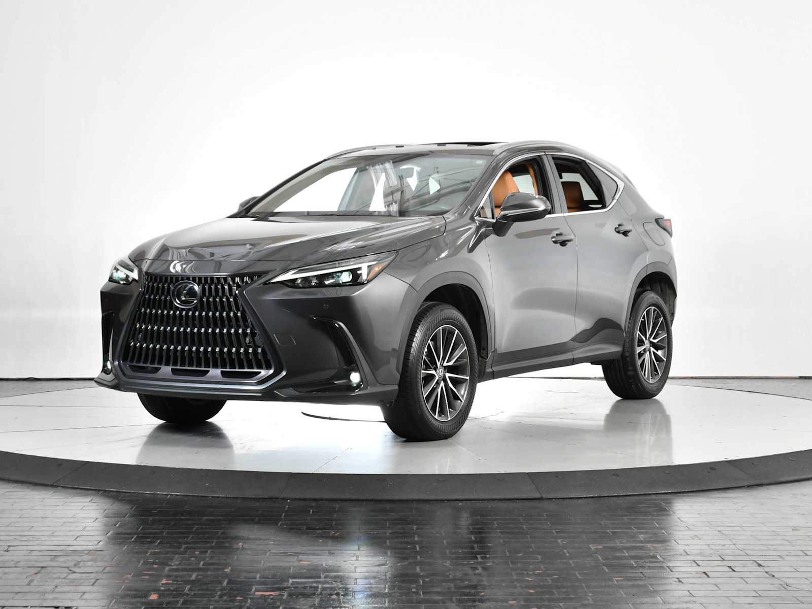 2023 Lexus NX Base's photo