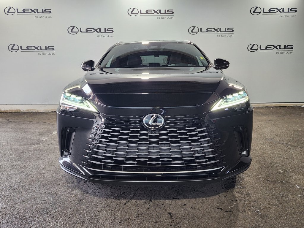 2025 Lexus RX 450h+ Luxury photo 6