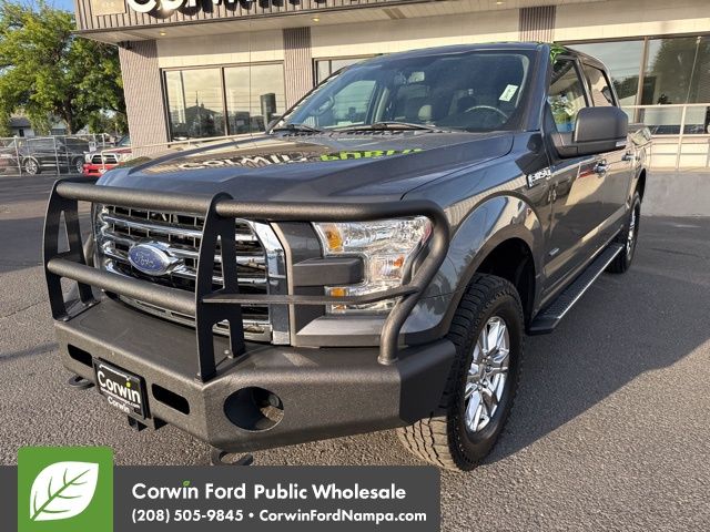 Used 2016 Magnetic Ford  image 1