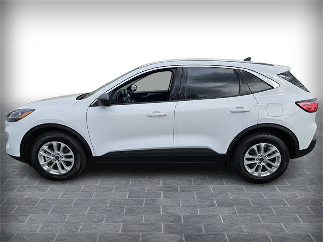 2022 Ford Escape Hybrid SE photo 4