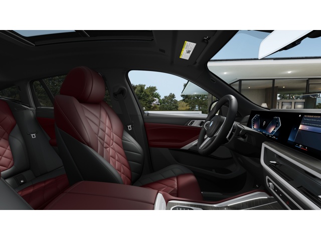 2026 Bmw X6 xDrive40i photo 9