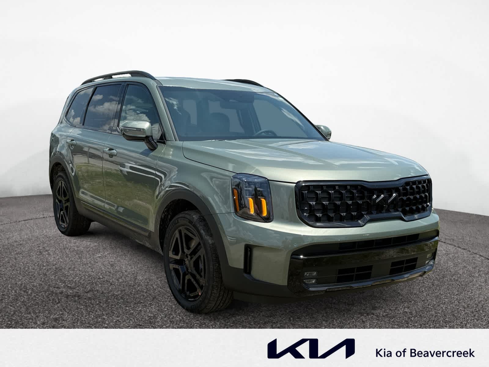 2025 Kia Telluride X-Line photo 5